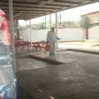 La imagen 4 de la Empresa PLAGEX FUMIGACIONES Y CONTROL DE PLAGAS Servicios Profesionales y de Negocios en Monterrey NLE