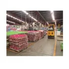 La imagen 26 de la Empresa PLÁSTICOS LEÓN Industrias y Agricultura en Ciudad De México CMX