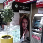 La imagen 27 de la Empresa PLASTILONAS Servicios Profesionales y de Negocios en Ciudad De México CMX
