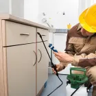 La imagen 1 de la Empresa PROTECTO FUMIGACIÓN Y CONTROL DE PLAGAS Servicios Profesionales y de Negocios en Villahermosa TAB