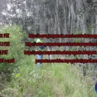 La imagen 18 de la Empresa PST SERVICIOS DE TOPOGRAFÍA EN MÉXICO Inmobiliaria y Reformas en Ciudad De México CMX