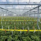 La imagen 2 de la Empresa PTC PLÁSTICOS TUBERÍAS Y CONEXIONES Trabajos en metal en Queretaro QUE