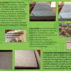 La imagen 8 de la Empresa PULIZIA LAVADO DE ALFOMBRAS Servicios Profesionales y de Negocios en Querétaro QUE
