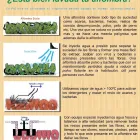 La imagen 9 de la Empresa PULIZIA LAVADO DE ALFOMBRAS Servicios Profesionales y de Negocios en Querétaro QUE