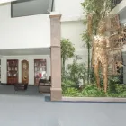 La imagen 21 de la Empresa RADISSON HOTEL & CONVENTION CENTER TOLUCA Transportes y Turismo en Toluca CMX