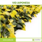 La imagen 1 de la Empresa RANKA FOLLAJE SINTÉTICO Servicios Profesionales y de Negocios en Ciudad De México CMX