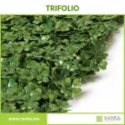 La imagen 2 de la Empresa RANKA FOLLAJE SINTÉTICO Servicios Profesionales y de Negocios en Ciudad De México CMX