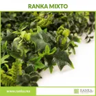 La imagen 3 de la Empresa RANKA FOLLAJE SINTÉTICO Servicios Profesionales y de Negocios en Ciudad De México CMX