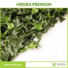 La imagen 7 de la Empresa RANKA FOLLAJE SINTÉTICO Servicios Profesionales y de Negocios en Ciudad De México CMX