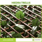 La imagen 8 de la Empresa RANKA FOLLAJE SINTÉTICO Servicios Profesionales y de Negocios en Ciudad De México CMX