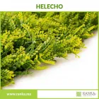 La imagen 10 de la Empresa RANKA FOLLAJE SINTÉTICO Servicios Profesionales y de Negocios en Ciudad De México CMX