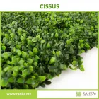 La imagen 12 de la Empresa RANKA FOLLAJE SINTÉTICO Servicios Profesionales y de Negocios en Ciudad De México CMX