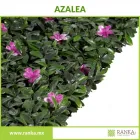 La imagen 14 de la Empresa RANKA FOLLAJE SINTÉTICO Servicios Profesionales y de Negocios en Ciudad De México CMX