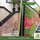 La imagen 16 de la Empresa RANKA FOLLAJE SINTÉTICO Servicios Profesionales y de Negocios en Ciudad De México CMX