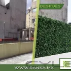 La imagen 18 de la Empresa RANKA FOLLAJE SINTÉTICO Servicios Profesionales y de Negocios en Ciudad De México CMX