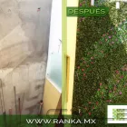 La imagen 19 de la Empresa RANKA FOLLAJE SINTÉTICO Servicios Profesionales y de Negocios en Ciudad De México CMX