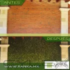 La imagen 21 de la Empresa RANKA FOLLAJE SINTÉTICO Servicios Profesionales y de Negocios en Ciudad De México CMX