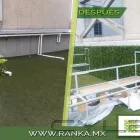 La imagen 23 de la Empresa RANKA FOLLAJE SINTÉTICO Servicios Profesionales y de Negocios en Ciudad De México CMX