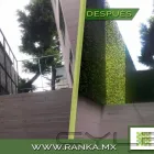 La imagen 24 de la Empresa RANKA FOLLAJE SINTÉTICO Servicios Profesionales y de Negocios en Ciudad De México CMX