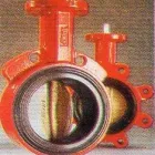 La imagen 8 de la Empresa REDE en Zinacantepec MEX