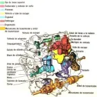 La imagen 2 de la Empresa REFACCIONES UNIVERSALES DE MAQUINARIA Refacciones y Accesorios para Automóviles y Camiones en Guadalupe NLE