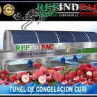 La imagen 7 de la Empresa REFINDPAC S.A. DE C.V. Servicios Profesionales y de Negocios en Mazatlán SIN