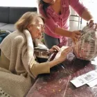 La imagen 5 de la Empresa RESIDENCIA MAGNOLIA en Monterrey NLE