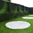 La imagen 3 de la Empresa SALON DE EVENTOS CASINO ESPAÑOL Restaurantes en Xalapa Enríquez VER