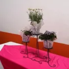 La imagen 13 de la Empresa SALON DE FIESTAS FIESTA JARDIN QUERETARO Bodegas en Querétaro QUE