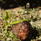 La imagen 2 de la Empresa SAMUEL ROMO ROMO Servicios Profesionales y de Negocios en San Luis Potosí SLP