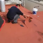 La imagen 6 de la Empresa SAYER - FESTER PAR Inmobiliaria y Reformas en Tlalnepantla De Baz MEX