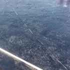 La imagen 50 de la Empresa SAYER - FESTER PAR Inmobiliaria y Reformas en Tlalnepantla De Baz MEX