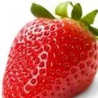 La imagen 1 de la Empresa SEGURIDAD PRIVADA COES-IRAPUATO Servicios Profesionales y de Negocios en Irapuato GUA