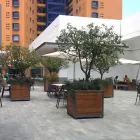 La imagen 1 de la Empresa SEÑOR DOG & SEÑOR CAT Tiendas de mascotas en Monterrey NLE