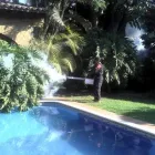 La imagen 9 de la Empresa SEPROAT FUMIGACIONES Servicios Profesionales y de Negocios en Cuernavaca MOR