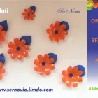 La imagen 16 de la Empresa SER NOVIA Industrias y Agricultura en Naucalpan De Juárez MEX