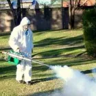 La imagen 5 de la Empresa SERINTEX SERVICIOS PROFESIONALES S.A. DE CV en Cuernavaca MOR