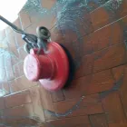 La imagen 4 de la Empresa SERVICIOS DE LIMPIEZA CM Servicios Profesionales y de Negocios en Mexicali BCN