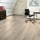 La imagen 2 de la Empresa SERVICIOS DECORATIVOS CHIHUAHUA Servicios Profesionales y de Negocios en Chihuahua MEX