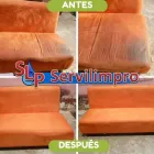 La imagen 1 de la Empresa SERVILIMPRO Servicios Profesionales y de Negocios en Villahermosa TAB