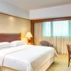 La imagen 63 de la Empresa SHERATON MEXICO CITY MARIA ISABEL HOTEL Transportes y Turismo en Mexico City CMX