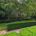 La imagen 40 de la Empresa SHERATON MEXICO CITY SANTA FE Transportes y Turismo en Mexico City CMX