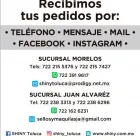 La imagen 7 de la Empresa SHINY TOLUCA Servicios Profesionales y de Negocios en Toluca De Lerdo MEX