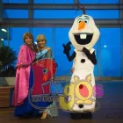 La imagen 4 de la Empresa SHOW INFANTIL PINGOS Organización y Realización de Fiestas y Eventos en Veracruz VER