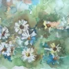 La imagen 1 de la Empresa SKETCHES - GALERÍA DE ARTE ONLINE en Zinacantepec MEX