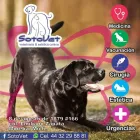 La imagen 1 de la Empresa SOTOVET Salud y Medicina en Morelia MIC