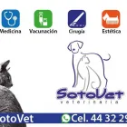 La imagen 2 de la Empresa SOTOVET Salud y Medicina en Morelia MIC