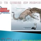 La imagen 8 de la Empresa SPEED SERVICE Refacciones y Accesorios para Automóviles y Camiones en Ecatepec De Morelos MEX