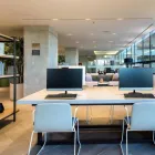 La imagen 4 de la Empresa STAYBRIDGE SUITES GUADALAJARA NOVENA Transportes y Turismo en Guadalajara JAL