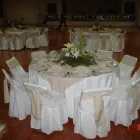 La imagen 2 de la Empresa SURTI FIESTAS Arte, Entretenimiento y Vida Nocturna en Zapopan JAL